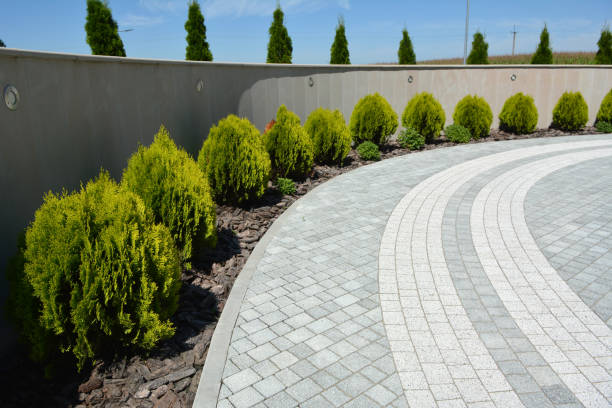 Best Driveway Paving Contractor  in Corte Madera, CA